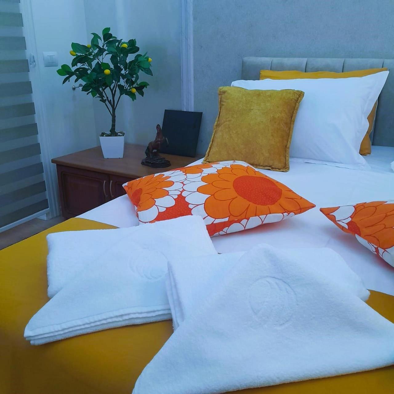 Bani'S Cozy Lovely Apt Tirana Zewnętrze zdjęcie