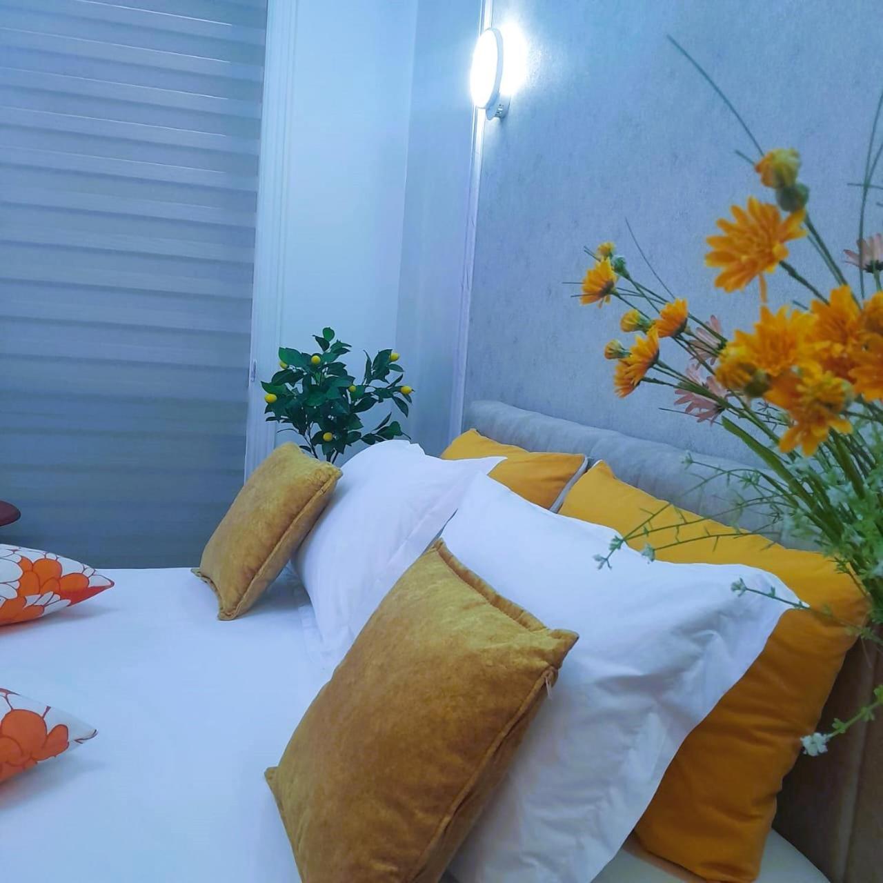 Bani'S Cozy Lovely Apt Tirana Zewnętrze zdjęcie